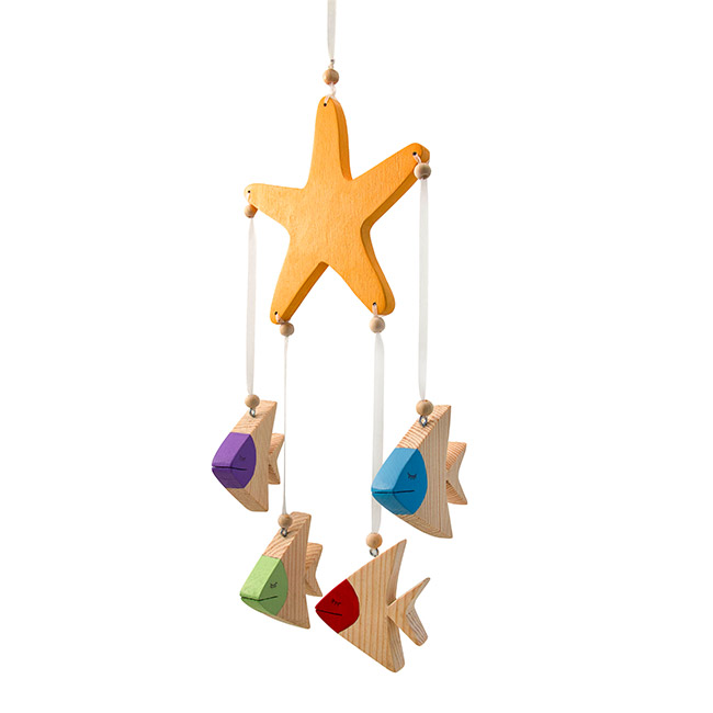 Montessori-starfish