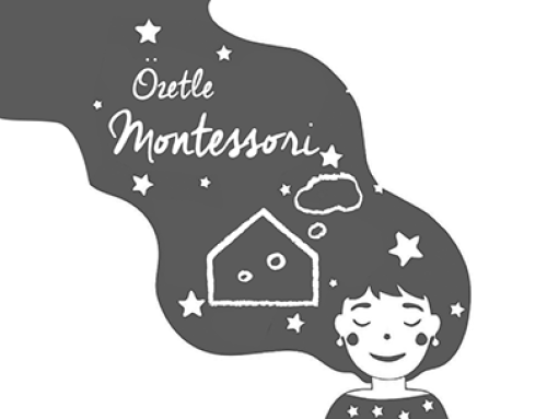 Özetle Montessorinin Temeli